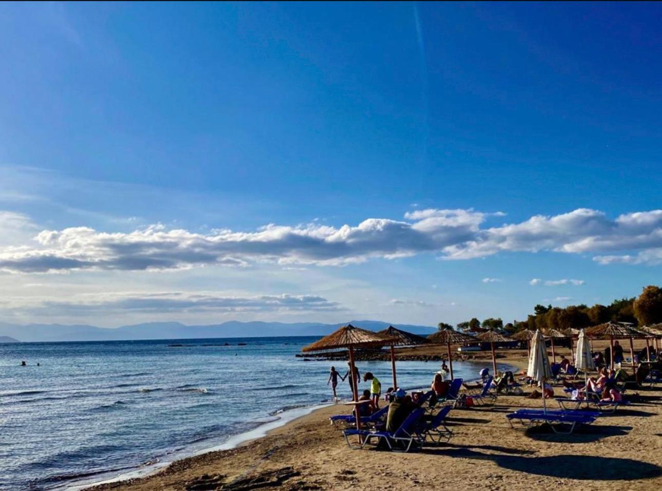 Appartement Vue Sur Mer Soul Family, Egine Aegina المظهر الخارجي الصورة